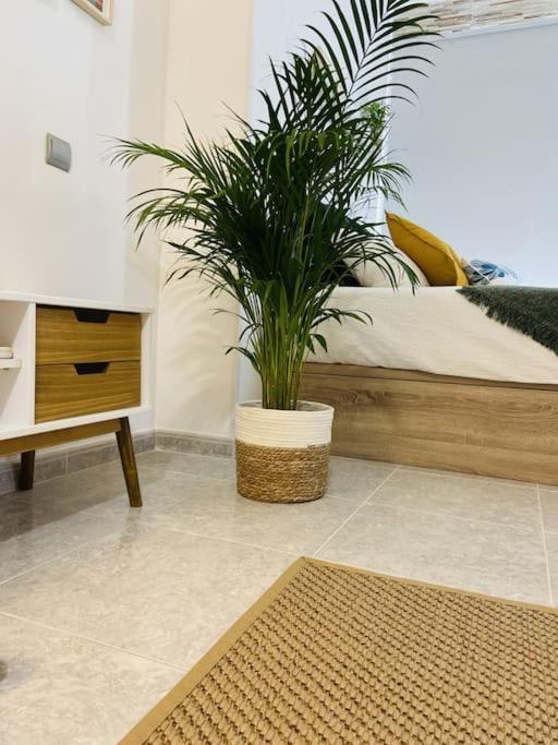 Lejlighed Alterhome Luminoso Estudio Con Piscina Y Maravillosas Vistas